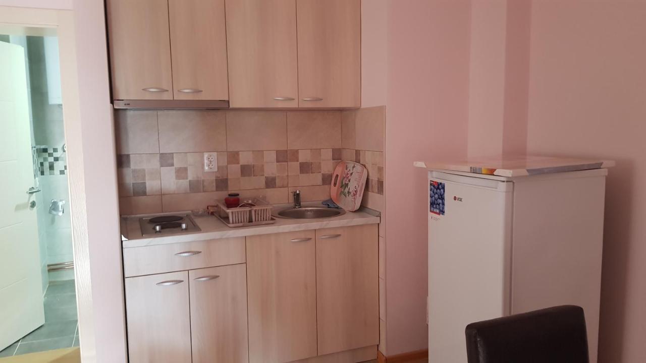 Vrnjačka Banja Apartmani V&F מראה חיצוני תמונה