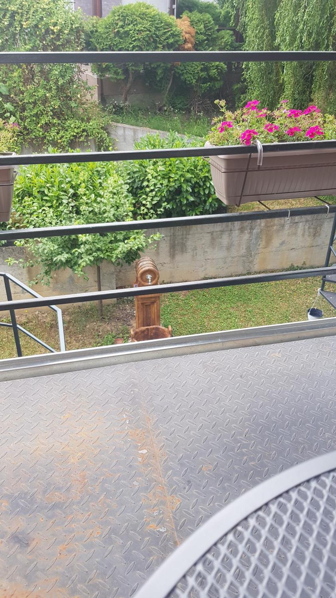 Vrnjačka Banja Apartmani V&F חדר תמונה