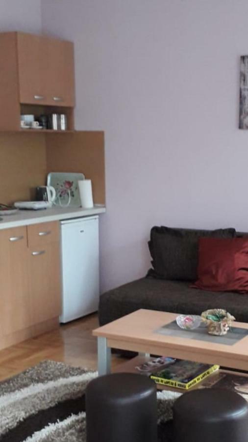 Vrnjačka Banja Apartmani V&F מראה חיצוני תמונה