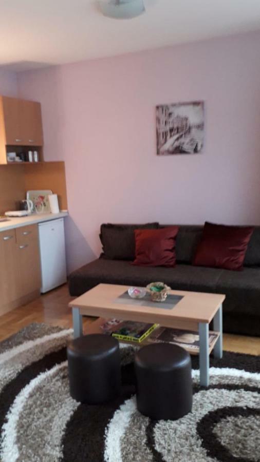 Vrnjačka Banja Apartmani V&F מראה חיצוני תמונה
