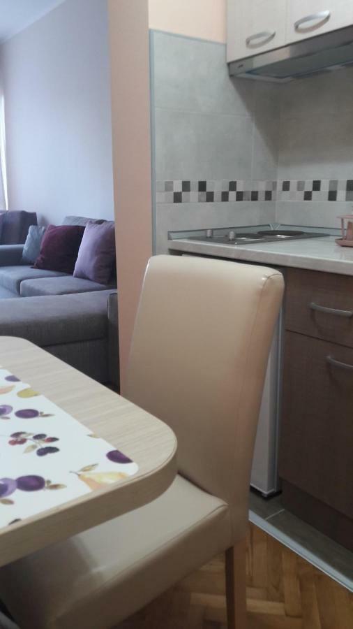 Vrnjačka Banja Apartmani V&F מראה חיצוני תמונה